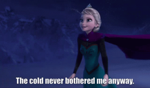 Cold Never Bothered Me Anyway GIF