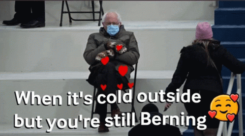 Cold Outside But You Still Bernie Sanders GIF