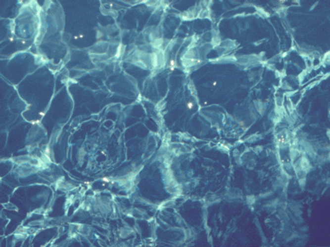 Cold Pool Water Ripples GIF 