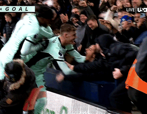 Cole Palmer Chelsea Fans GIF