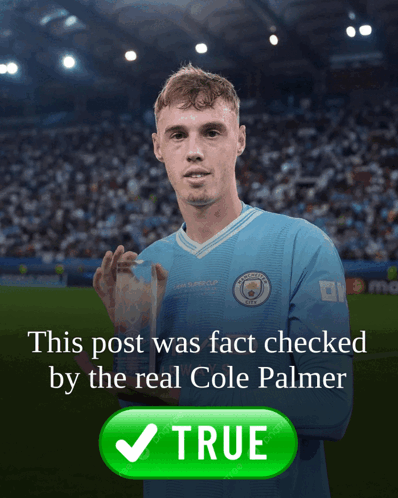 Cole Palmer Staring In The Picture GIF