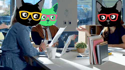Collaboration Between Three People With Cat Heads GIF