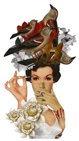 Collage Art Vintage Woman GIF