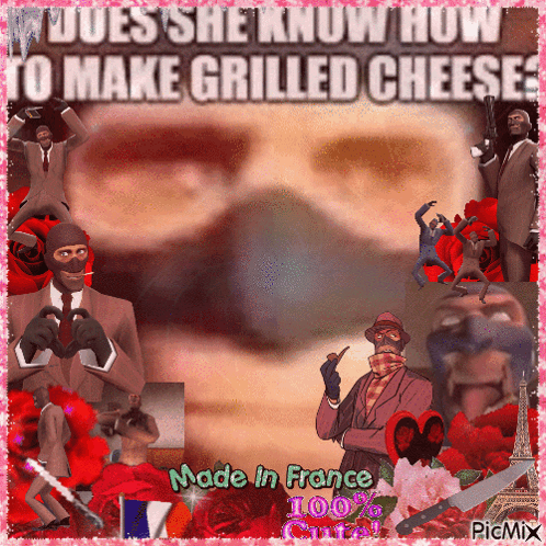 Collage Does She Know How To Make Grilled Cheese GIF