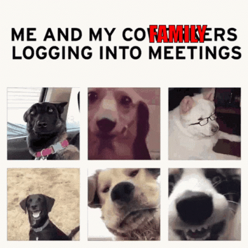 Collage of Dogs Me and My Co-Familyers Logging Into Meetings