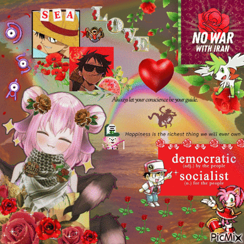 Collage Saying Democratic Socialist