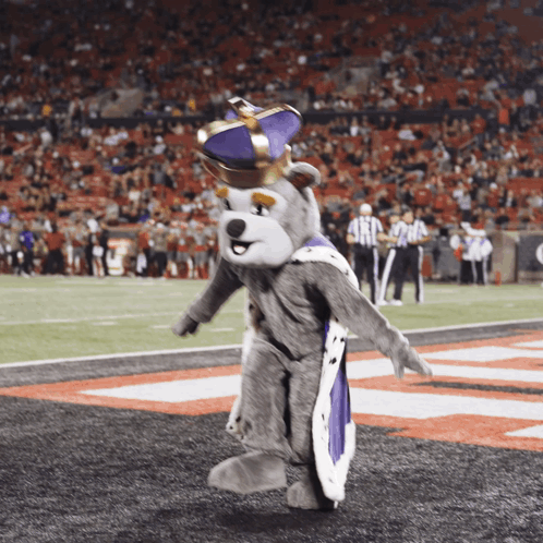 College Football Duke Dog GIF