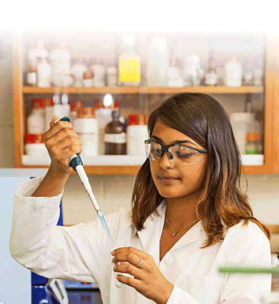 College Research Experience GIF