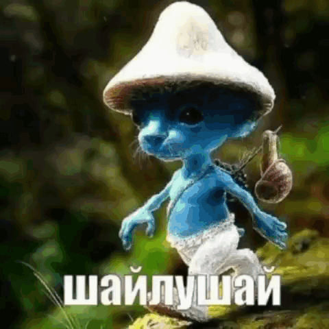 Color Evolution Smurf Cat Meme GIF
