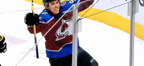 Colorado Avalanche Hockey Player Holding Stick