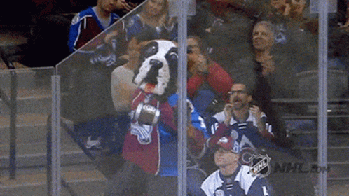 Colorado Avalanche Mascot in Stands