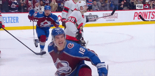 Colorado Avalanche Mascot in Stands