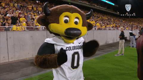 Colorado Buffalo Mascot Dancing GIF