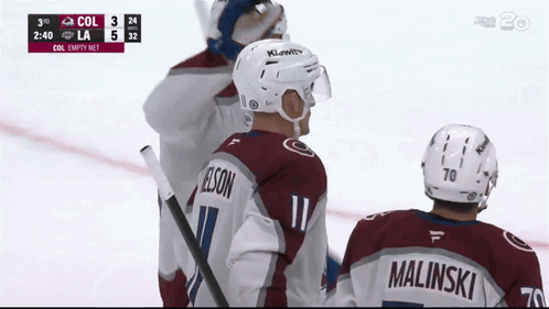 Colorado vs LA Hockey Game