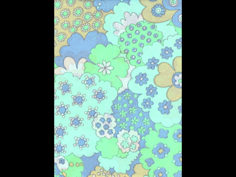 Colorful 2d Animated Flowers GIF