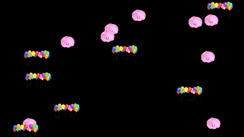 Colorful Balloons Floating