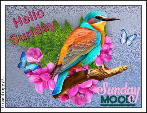 Colorful Bird on Pink Flower Branch with Butterflies