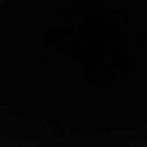 Colorful Birds On Black Background GIF
