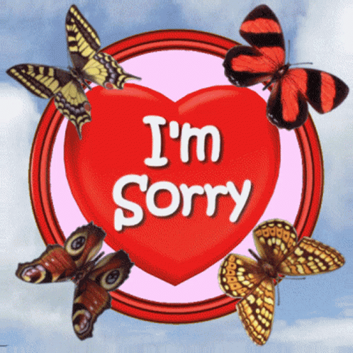 Colorful Butterflies I Am Sorry GIF