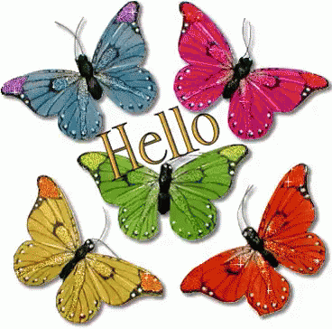 Colorful Butterflies Saying Hello GIF