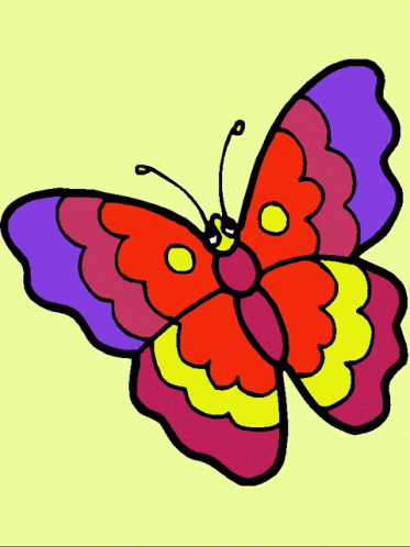 Colorful Butterfly Done Coloring GIF