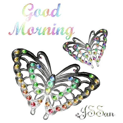 Colorful Butterfly Good Morning