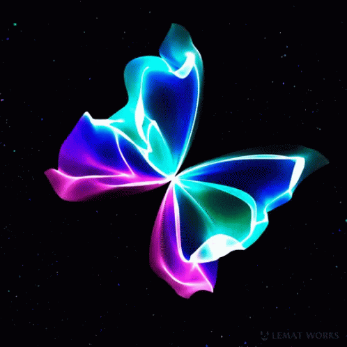 Colorful Butterfly on Black Background With Lemat Works