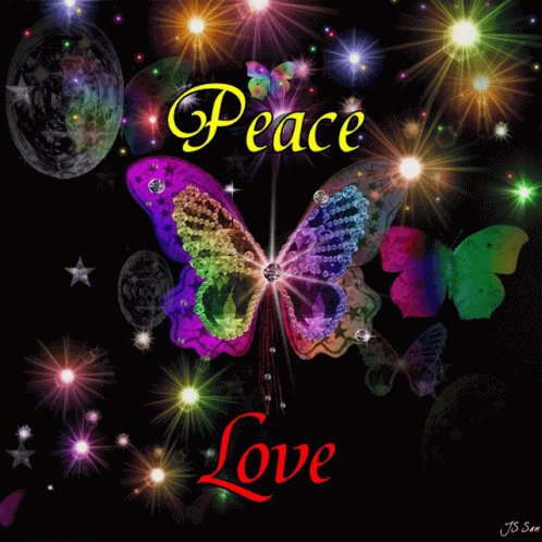 Colorful Butterfly Surrounded by Lights Peace Love