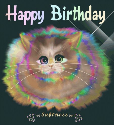 Colorful Cat on Birthday Card