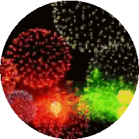 Colorful Circle with Red Green Yellow