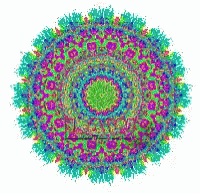 Colorful Circular Pattern With Green Center GIF