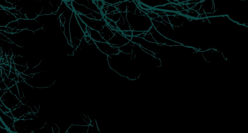 Colorful Creepy Trees GIF