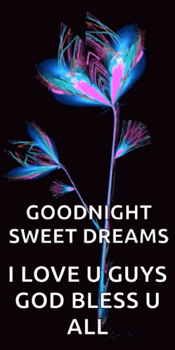Colorful Flower Saying Goodnight Sweet Dreams I Love U Guys God Bless U All