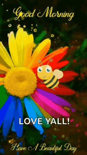 Colorful Flower with Bee and Good Morning Love Yall