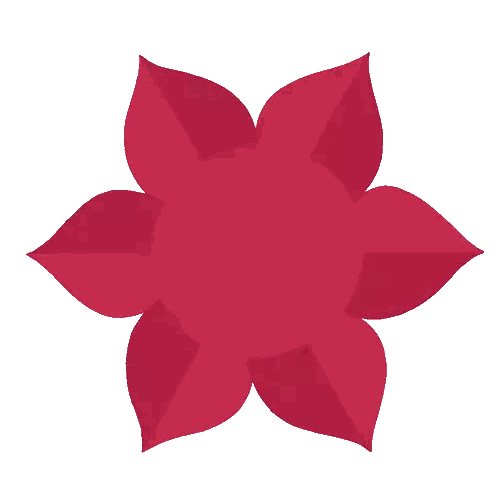 Colorful Flower With Circular Center
