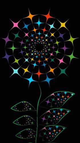 Colorful Flower With Leaves