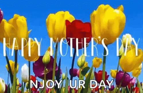 Colorful Flowers Happy Mothers Day GIF