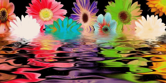 Colorful Flowers On Water GIF