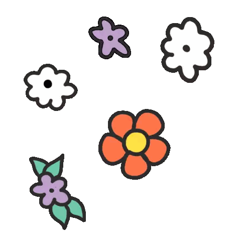 Colorful Flowers On White Background