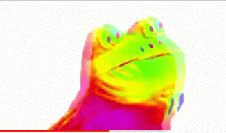Colorful Frog Head