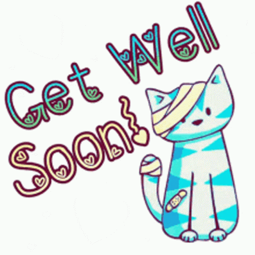 Colorful Injury Cat Get Better Soon GIF