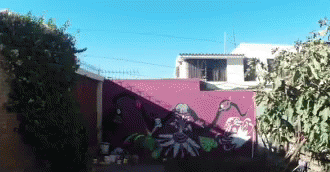Colorful Kaleidoscope Design GIF