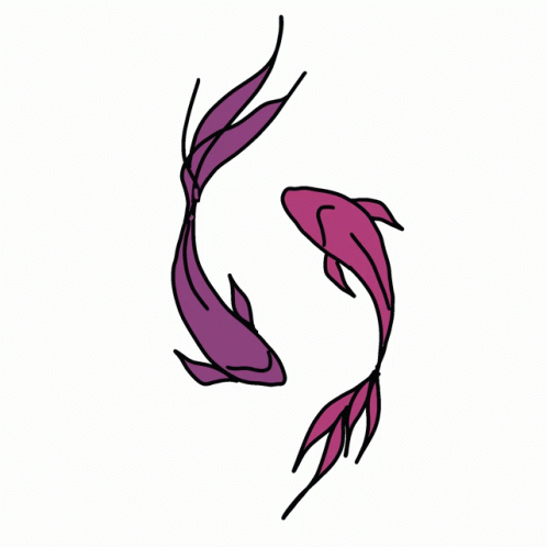 Colorful Koi Fish Swimming Circle GIF