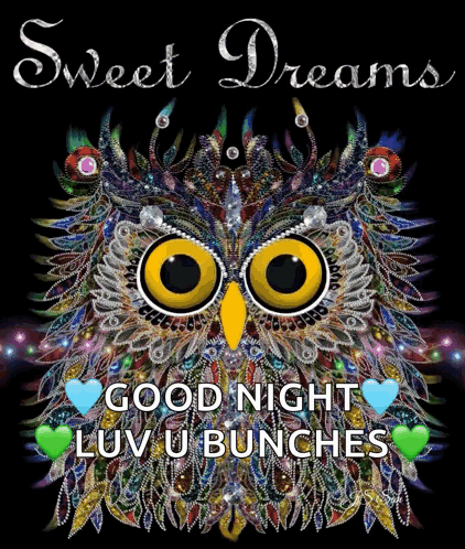Colorful Owl Saying Sweet Dreams GIF
