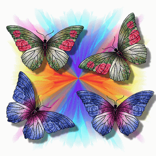 Colorful Rainbow Butterflies Silhouette GIF