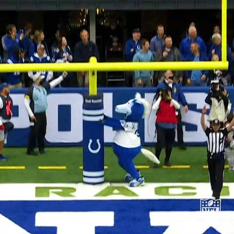Colt Mascot Bangs Head Against Wall GIF