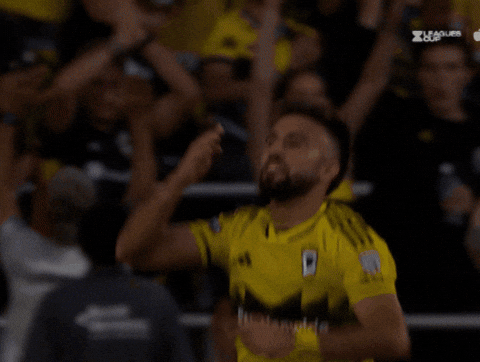 Columbus Crew Heart Of Ohio GIF