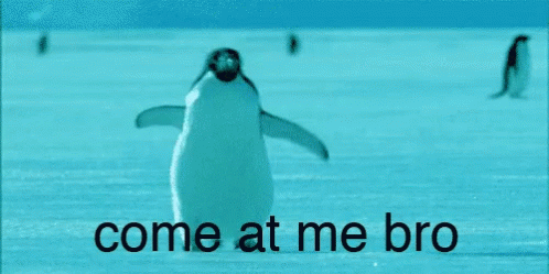 Come At Me Bro Strolling Penguin GIF