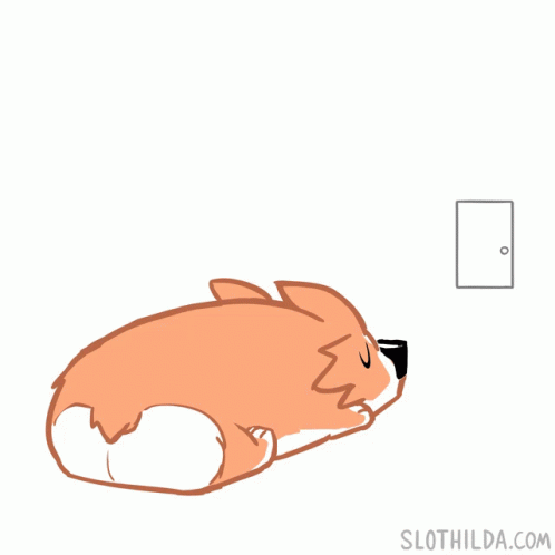 Come Back Cute Puppy Corgi Dog GIF