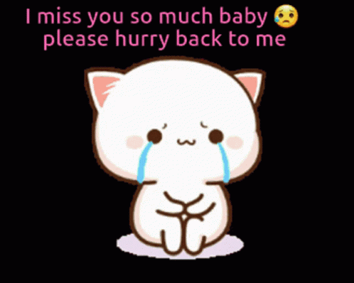 Come Back I Miss You So Much Peach Cat GIF